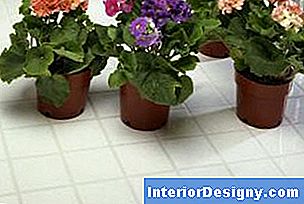 Garten Wie Man Ein Droopy African Violet Repariert 2024 Interior