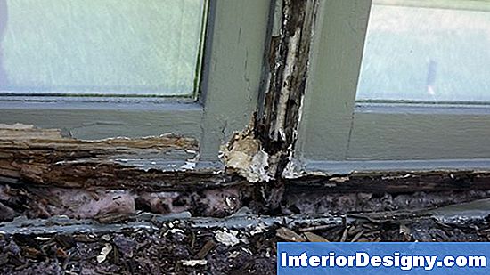 Rotted Window Damage