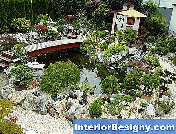 Garten Können Sie Pflanzen In Ihrem KoiTeich Haben? 2024 Interior