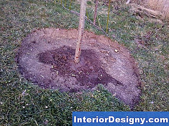 Einfachste Möglichkeit, Ein Loch Zu Graben, Um Einen Baum Zu Pflanzen