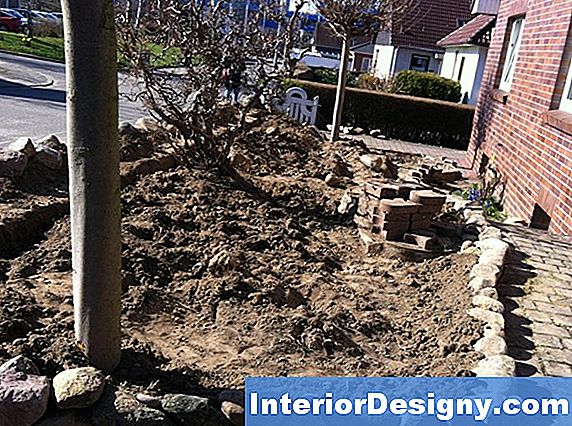 Garten Wie Man Einen Auf Einer Beschäftigten Straße