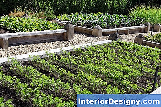 Garten Gemüsegärten In Eimern 2023