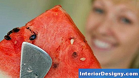 Was Verursacht Wassermelonen Vor Der Reife Zu Teilen?