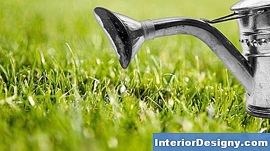 Garten Wann Soll Gras Wachsen? 2024