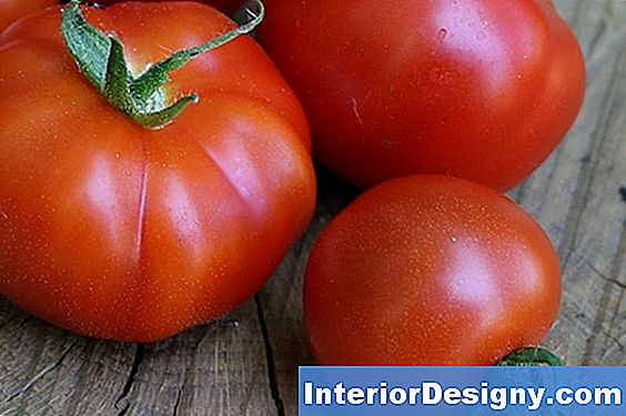 Die Beste Art Von Tomaten Zu Pflanzen