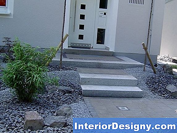 Garten Mit KöniginPalmen 2024