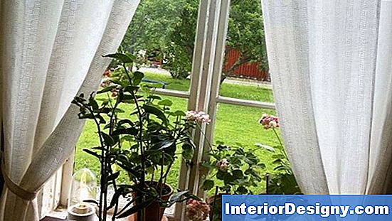 Garten Pflanzen, Die Wenig Sonne Brauchen 2023