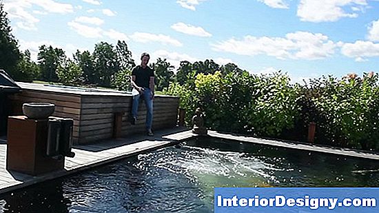 Garten Teich Belüftung & Algenwachstum 2024