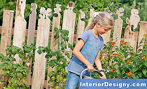 Garten Wege, Um Neugierige Nachbarn Auszustechen 2024 Interior