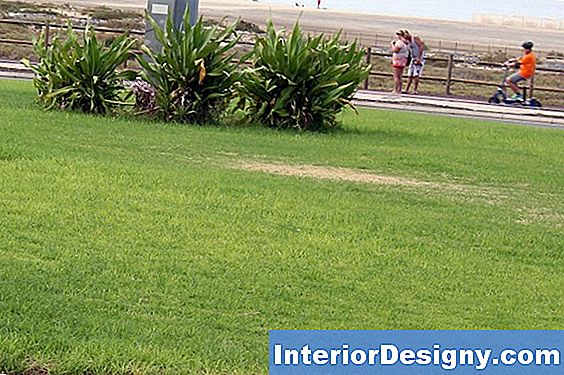 Kann Man Von Gras Sterben interior-designy.com