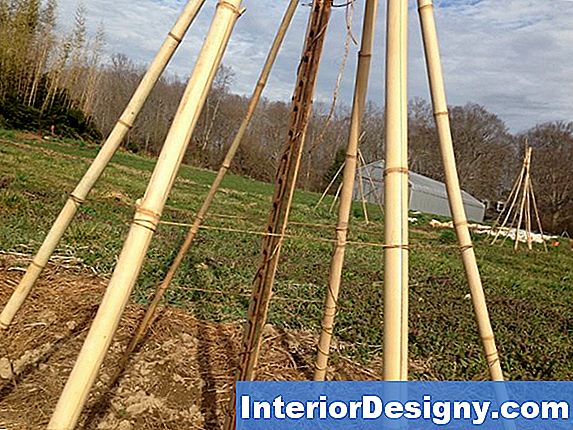 Teepee Trellis Ideas