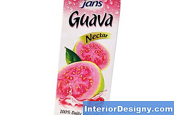 Guava Sordid