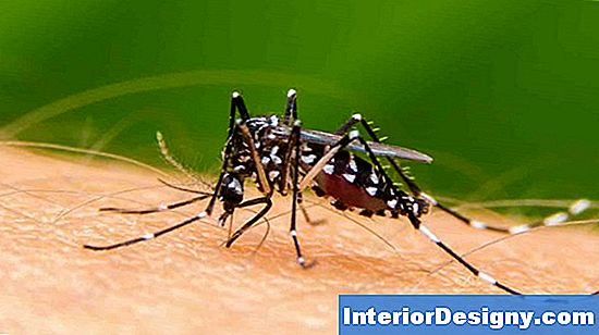 Mosquito Repellents Masinad