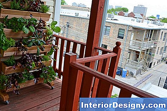 Container Gardening Per Verdure A Nord