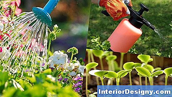 Perossido Di Idrogeno Per Spray Da Giardino