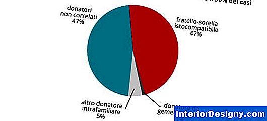 Trapianti Vs. Semi Per Cavolo Palla