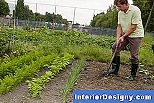 Il terreno del giardino trae beneficio dalle normali applicazioni di fertilizzanti per rinnovare le esigenze delle piante nutritive.