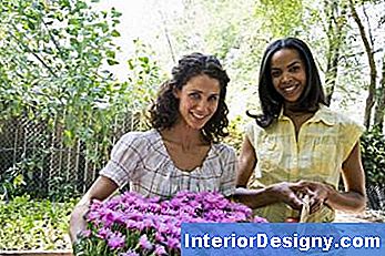 Design-Ideen Für Blumen- Und Gemüsegärten