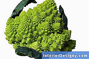 Il Romanesco ha un sapore dolce, ricco di noci e una forma interessante.