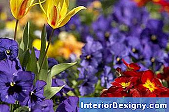 Blumen-Landschaftsgestaltungs-Ideen Für Vordere Yards Im Frühjahr
