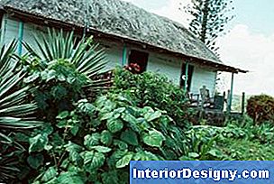 Garten Mit KöniginPalmen 2024
