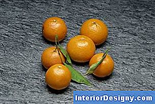 Clementinen werden oft genannt