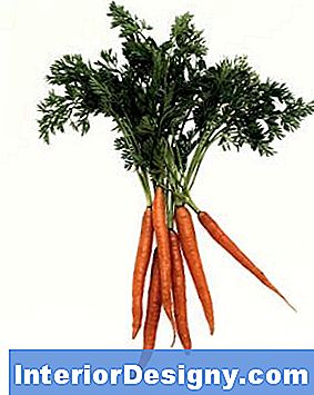 Wie Man Karotten In Einem Heuballen Anbaut