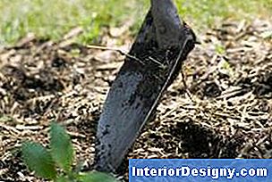 Garten Wie Man Kompost Anstelle Von Mutterboden Verwendet 2024