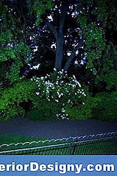 Nachtblühender Mottengarten