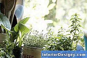 Puutarhanhoito ikkunapylvässi avulla voit lisätä vihreää sisustustasi tarvitsematta tarvita tilaa.
