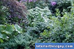 Garten Arten Von Landschaftspflanzen 2023