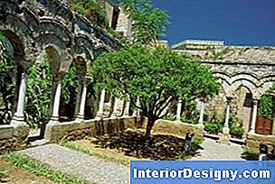 Garten Welche Pflanzen In Einem Italienischen Zu Verwenden